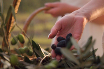How to Taste Olive Oil Like a Pro: A Guide to Tintilla Estate’s Olive Grove